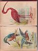Image 5 - FUR AND FEATHER cat with blue bow