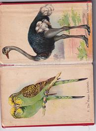 Image 6