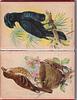 Image 7 - FUR AND FEATHER cat with blue bow